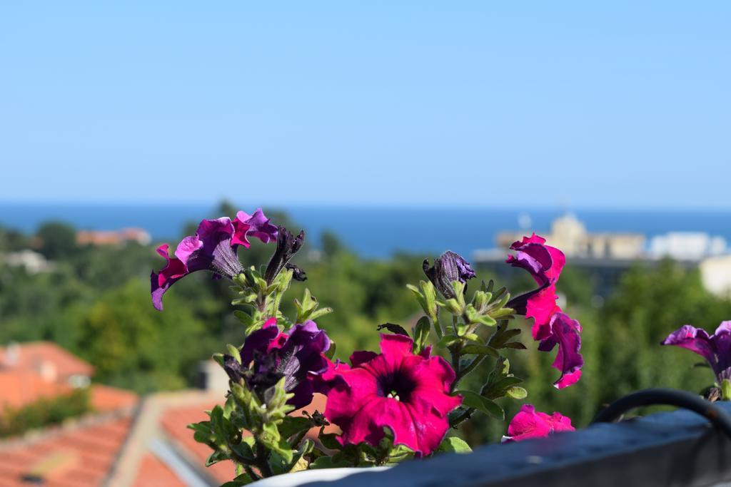 Boutique Villa Rosa Dei Venti Балчик Екстериор снимка